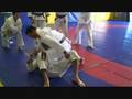 Fabricio Werdum demonstrates a choke.