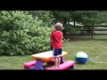 butterfart: exclusive footage of rare insect