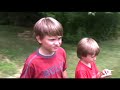 butterfart: exclusive footage of rare insect
