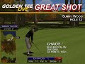 Golden Tee Great Shot on Sunny Wood! Golden Tee Great Shot on Sunny Wood!