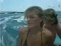 Wadadli Cats - Sail Fast ...Live Slow
