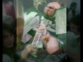 Feh�rv�ri kir�ndul�s