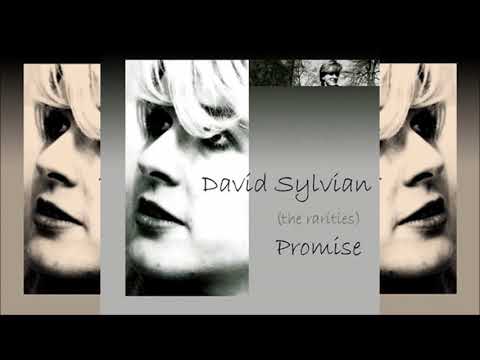 David Sylvian / Promise (the rarities) (Full Album)