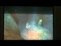 leonardo enel agua en zelda twilight MISTERIO!
