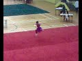 Jun heng 双匕首.mp4