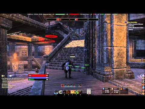 Stamina Dragonknight Patch 1.5.7