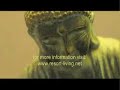 DMCI Homes: \"Royal Palm Residences\"