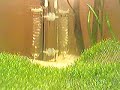 CO2 DIY AKVARYUM AQUARIUM FISH PLATE RICCIA diy akvaryum