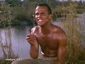 Dis Flower! - Harry Belafonte
