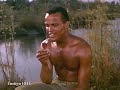 Dis Flower! - Harry Belafonte