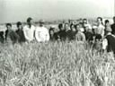The Bloody History of Communism (Part 10 of 14)