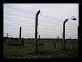Auschwitz II - The Birkenau Experience: Journey into Hell