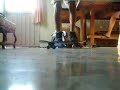 Chakl spědrman sacando flip :P Chakl spědrman sacando flip :P