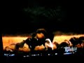 Wolves Hunting Bison 2