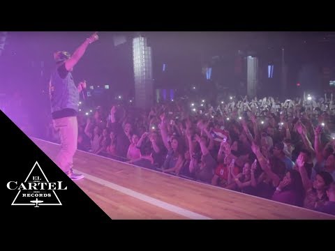 Daddy Yankee @ Dallas , Houston & Odessa Texas (2013) -