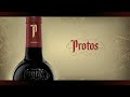 Bodegas Protos. Vídeo corporativo.