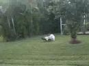 Bloopers of cicl war project
