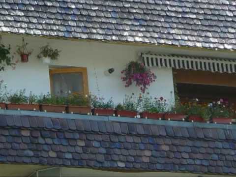 Balconul inflorit la final