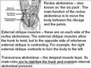 Back Pain
