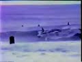 surf surfing