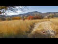 Pheasant hunting in Utah, Orvis Endorsed Wingshooting Lodge.