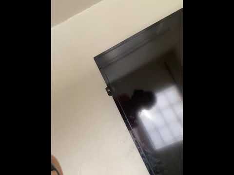 Roku - I’m needing a Assistant