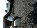 Racen Racen