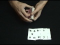 Ricky Jay Card Manipulation