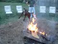 Fire drives dog crazy!
