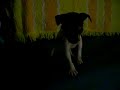 mylo garcia