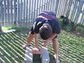 brick break brick break
