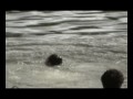 Água Raz - Alicerce