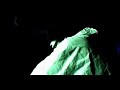 Lychee Lassi Trailer 2006 Lychee Lassi Trailer 2006