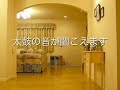 ハニービー動画
