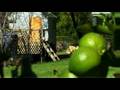 videos de Real Estate/ Berry/ Property Video