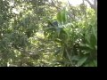 Vacation in Kauai