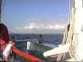 Mit dem Katamaran um die Isla Saona
