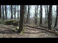 Malberg im Westerwald