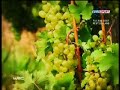 wrc rallye deutschland 2007   highlights