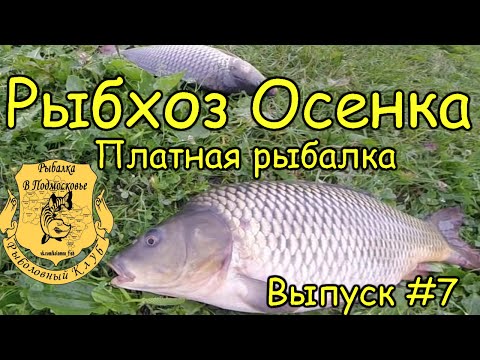 YouTube Трейлер