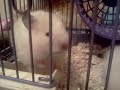 Супер скорость
