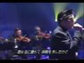 Kondo Masahiko 綺麗