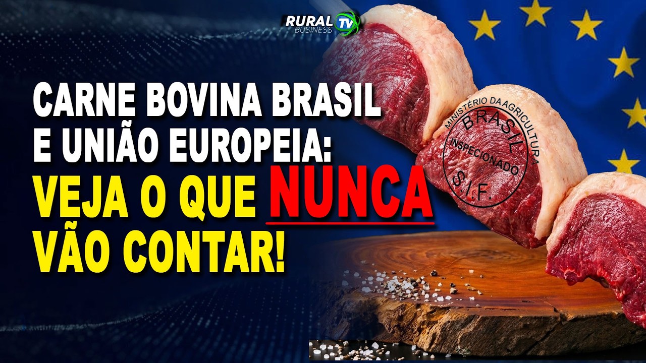 CARNE BOVINA BRASIL E UNIÃO EUROPEIA: VEJA O QUE NUNCA VÃO CONTAR!