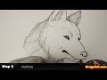 Click here to watch this video How to Draw a Wolf, Timber Wolf Sketch, Step by Step, In Pencil