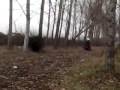 videos de motocross team (la berga loca) primo fuori strada con il piaggio si 70cc malossi