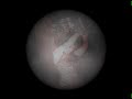 Moria Chappell \"Lullaby for August 2nd\" Moria Chappell \"Lullaby for August 2nd\"