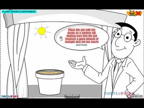 Plant Growth Experiment *YOU CAN DO!* Science for Kids