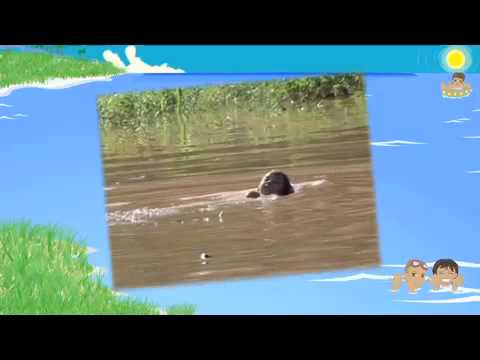 Imagen de previsualización de YouTube