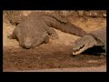 national geographic sender bradybarr als krokodil verkleidet