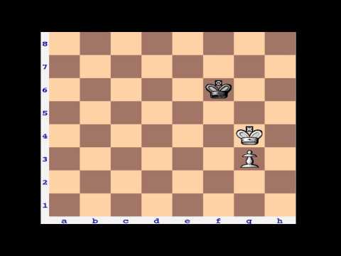 chess knight